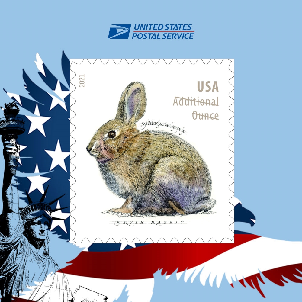 2021 Brush Rabbit（Postage Stamps ）