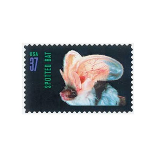 2002 Night Friends American Bats