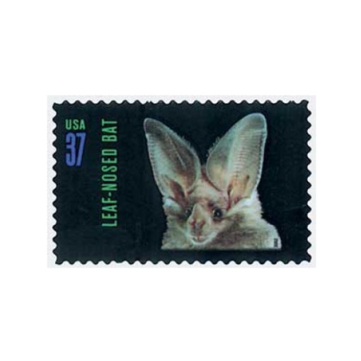 2002 Night Friends American Bats