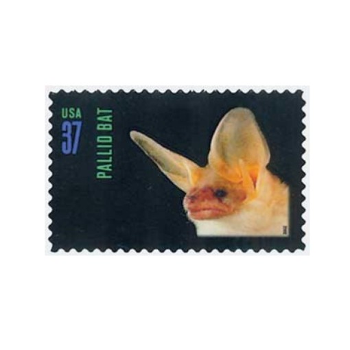 2002 Night Friends American Bats