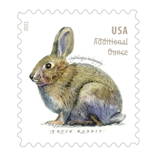 2021 Brush Rabbit（Postage Stamps ）