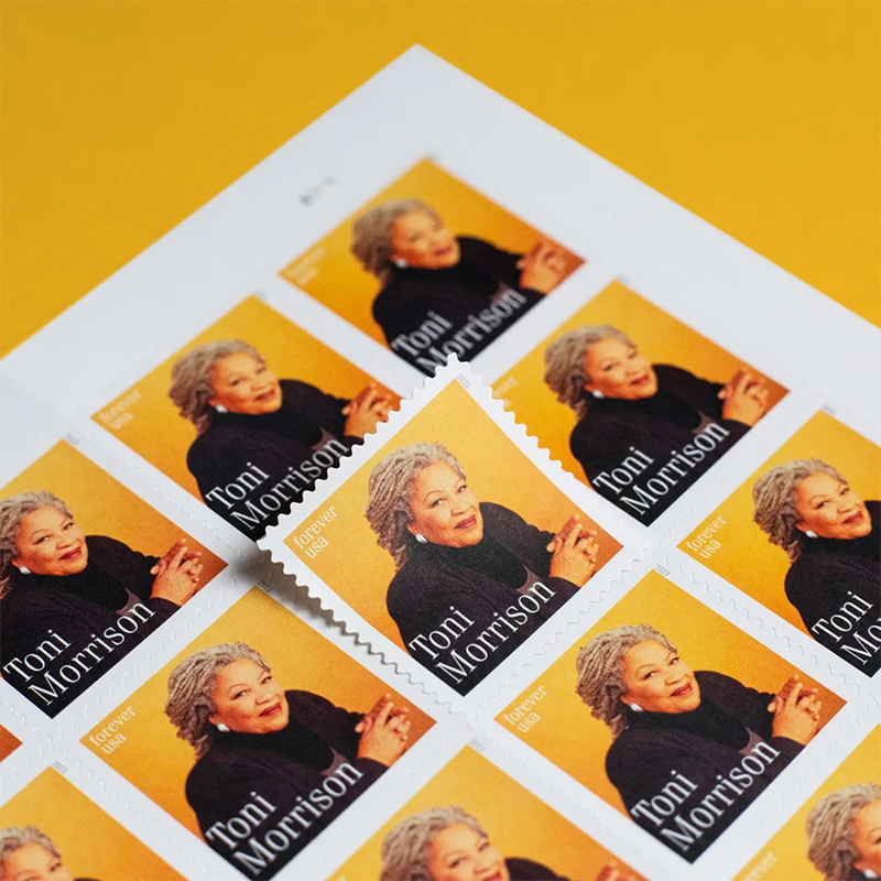 2023 Toni Morrison Matted