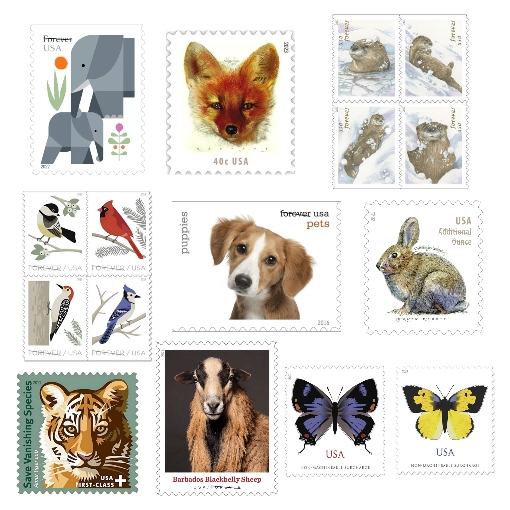 Animals Blind Box Stamps 500PCS