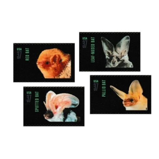 2002 Night Friends American Bats