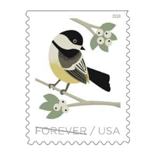 2018 Birds in Winter