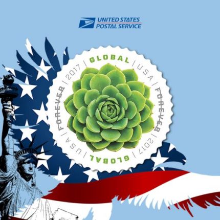 Global The Green Succulent 2017