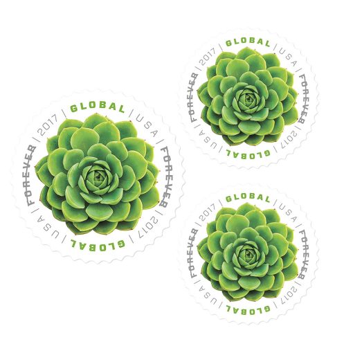 Global The Green Succulent 2017