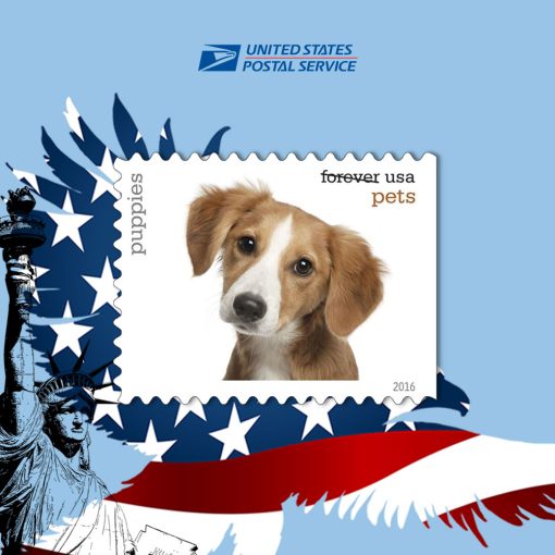 Pets Celebrate Animals 2016