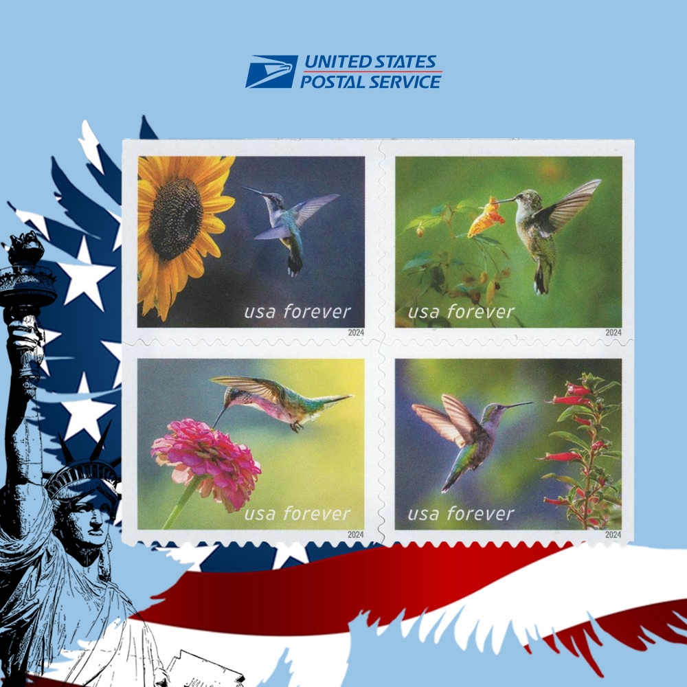 Garden Delights 2024