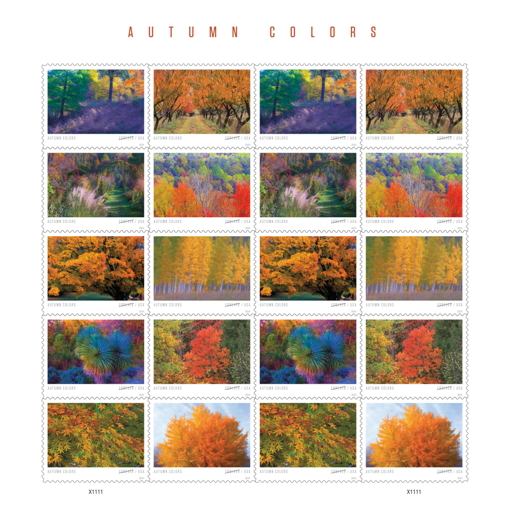 2024 Autumn Colors
