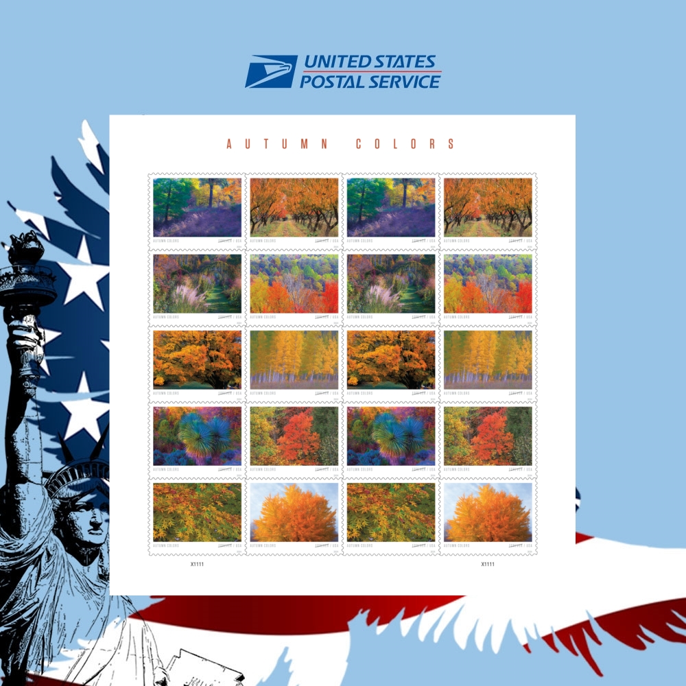 2024 Autumn Colors
