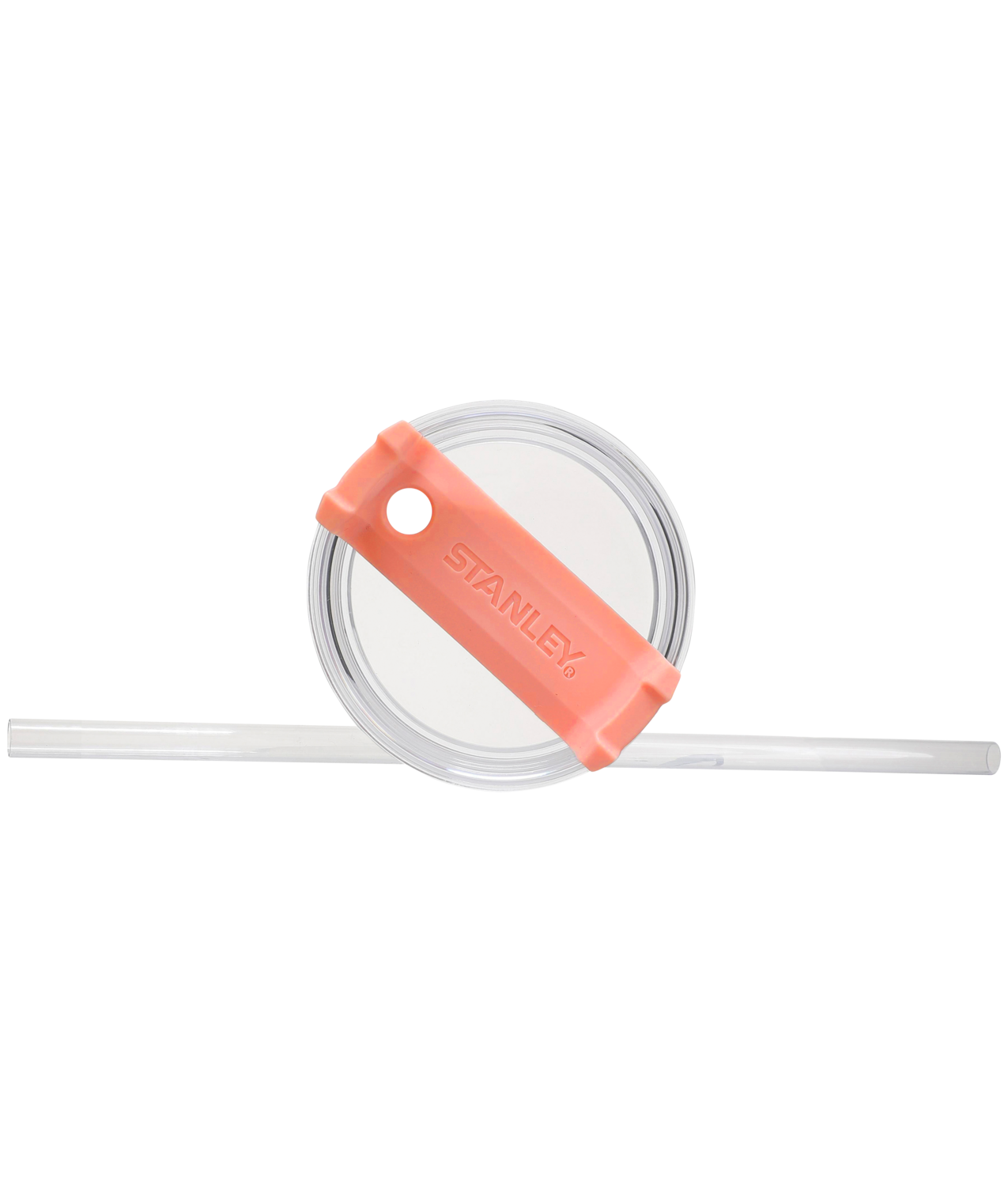 The Wild Imagination Quencher Travel Tumbler | 14 OZ