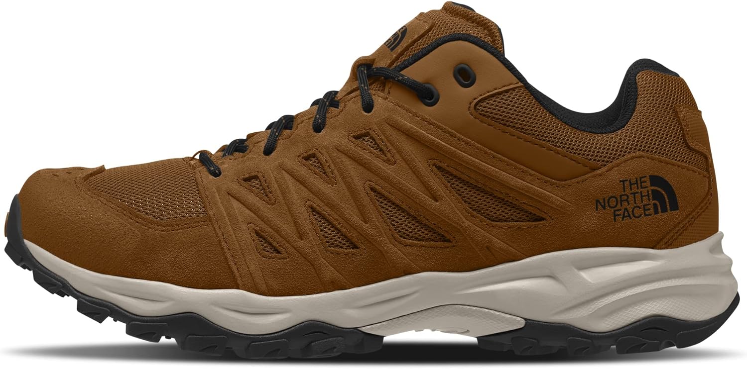 THE NORTH FACE Men's Truckee Hiking Shoe