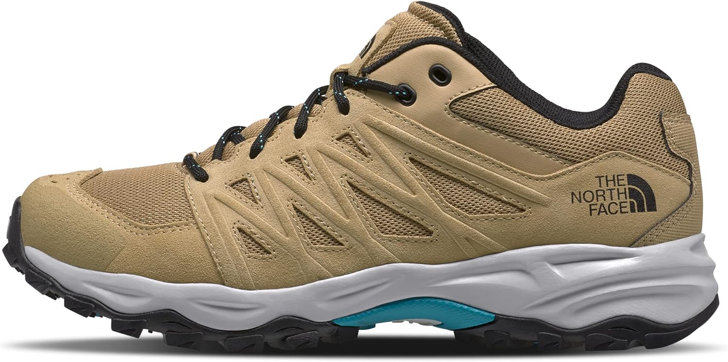 THE NORTH FACE Men's Truckee Hiking Shoe