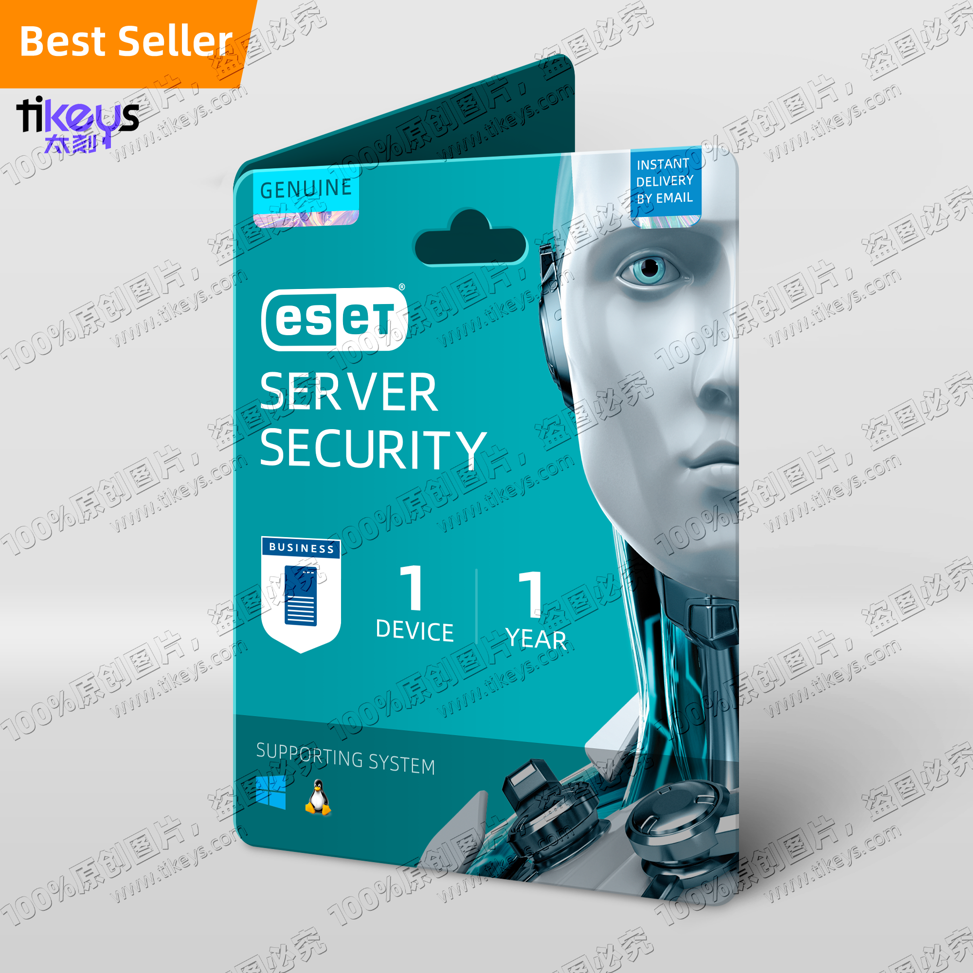 24/7 Online ESET Server Security Key Genuine Global License 2024 Privacy Protection