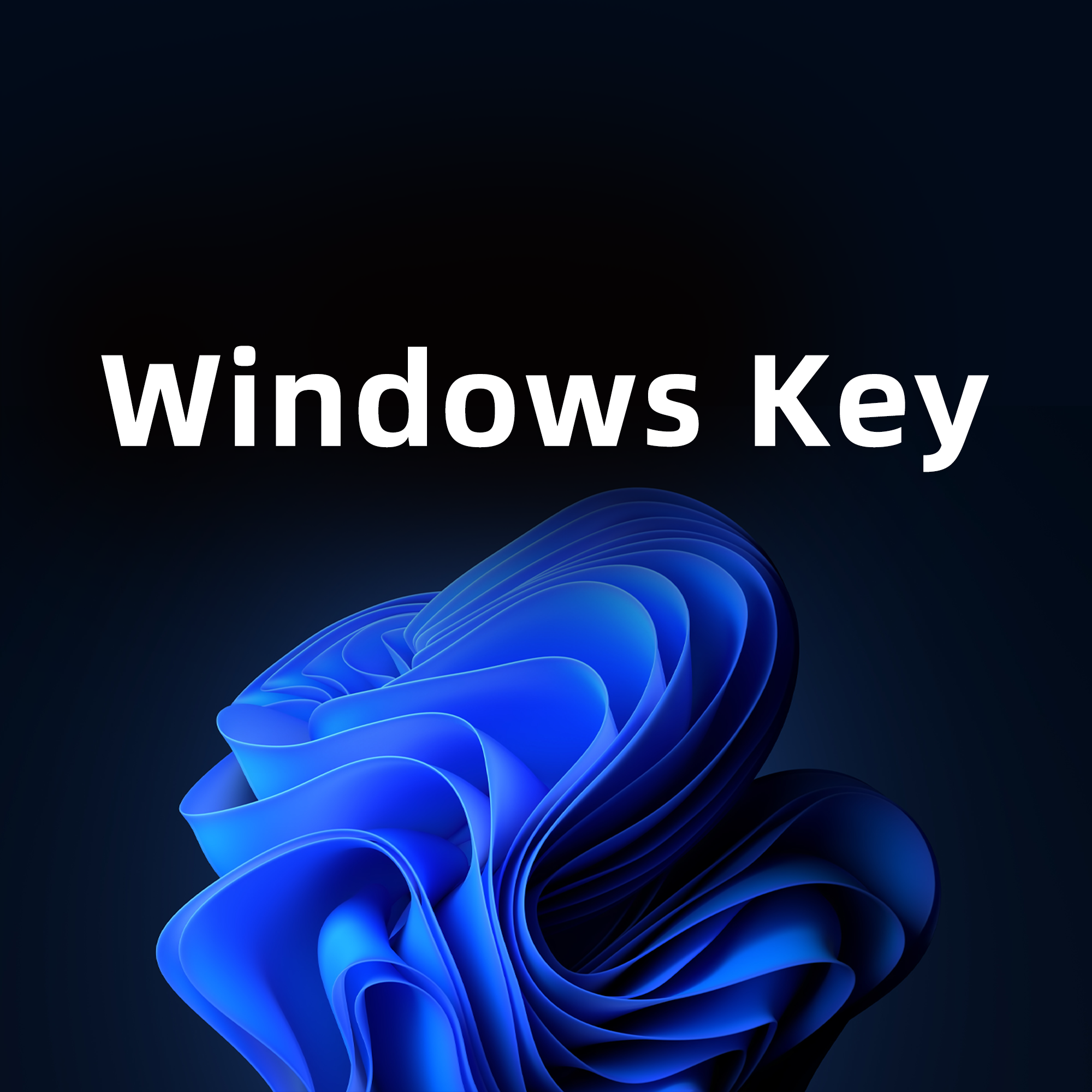 Windows Key