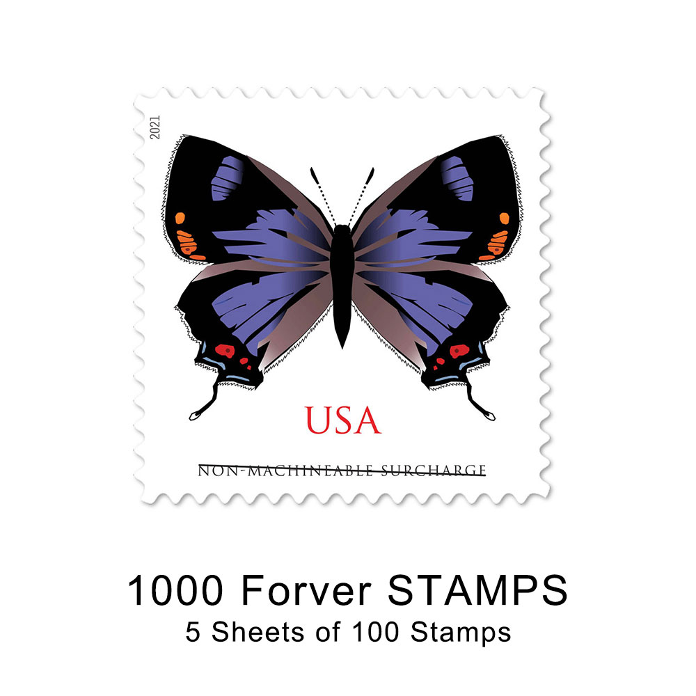 🎁[US Free Shipping]100PCS-Colorado Hairstreak