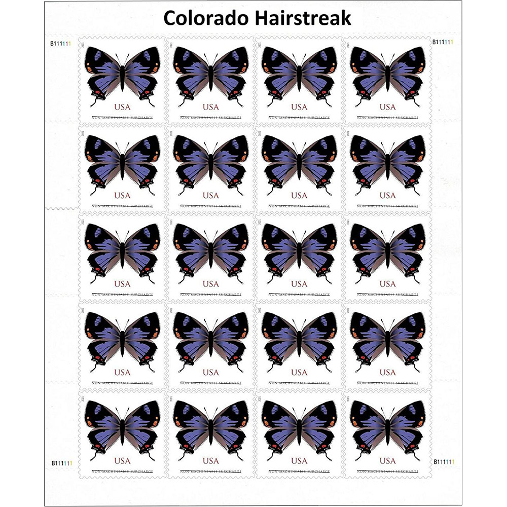 🎁[US Free Shipping]100PCS-Colorado Hairstreak