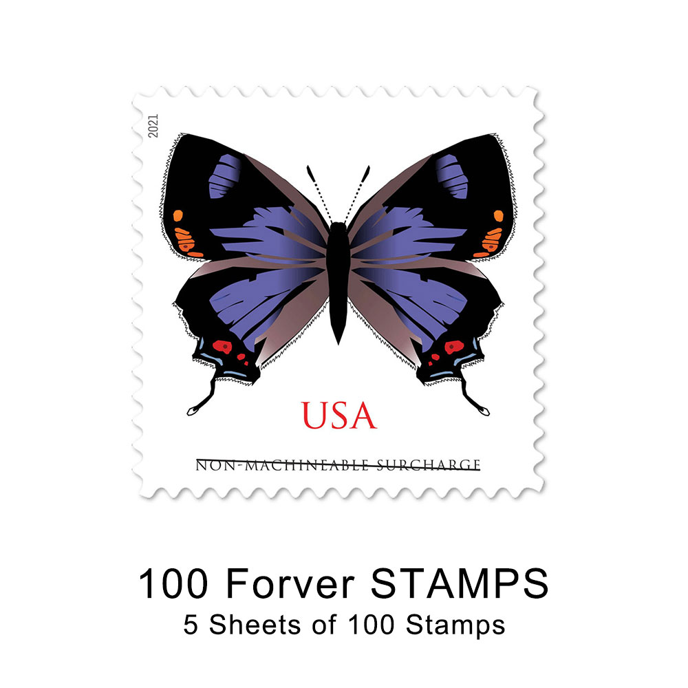 🎁[US Free Shipping]100PCS-Colorado Hairstreak