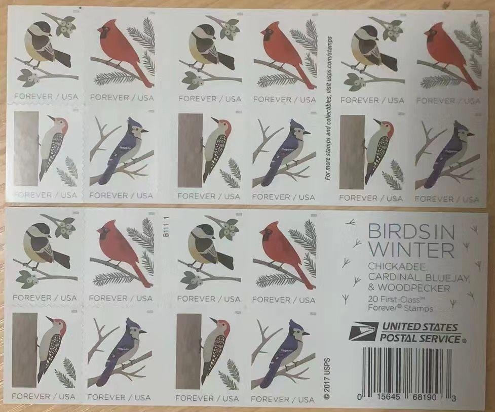 🎁[US FREE SHIPPING]100PCS-‎Bird