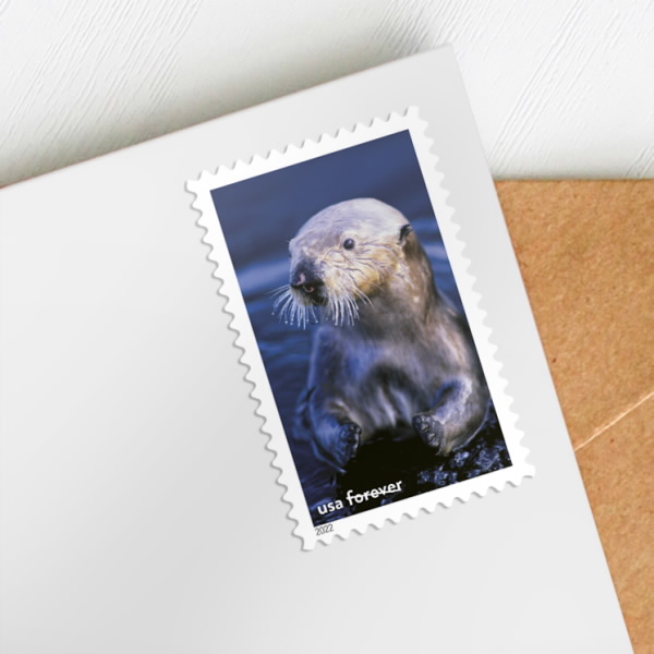 🎁[US FREE SHIPPING]100PCS-National Marine Sanctuaries