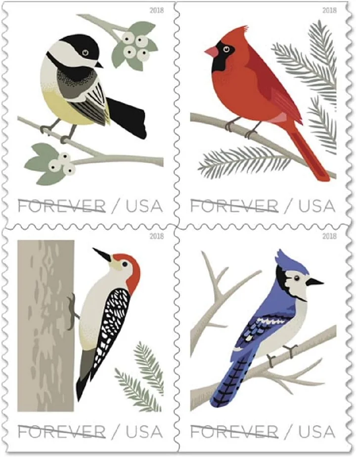 🎁[US FREE SHIPPING]100PCS-‎Bird