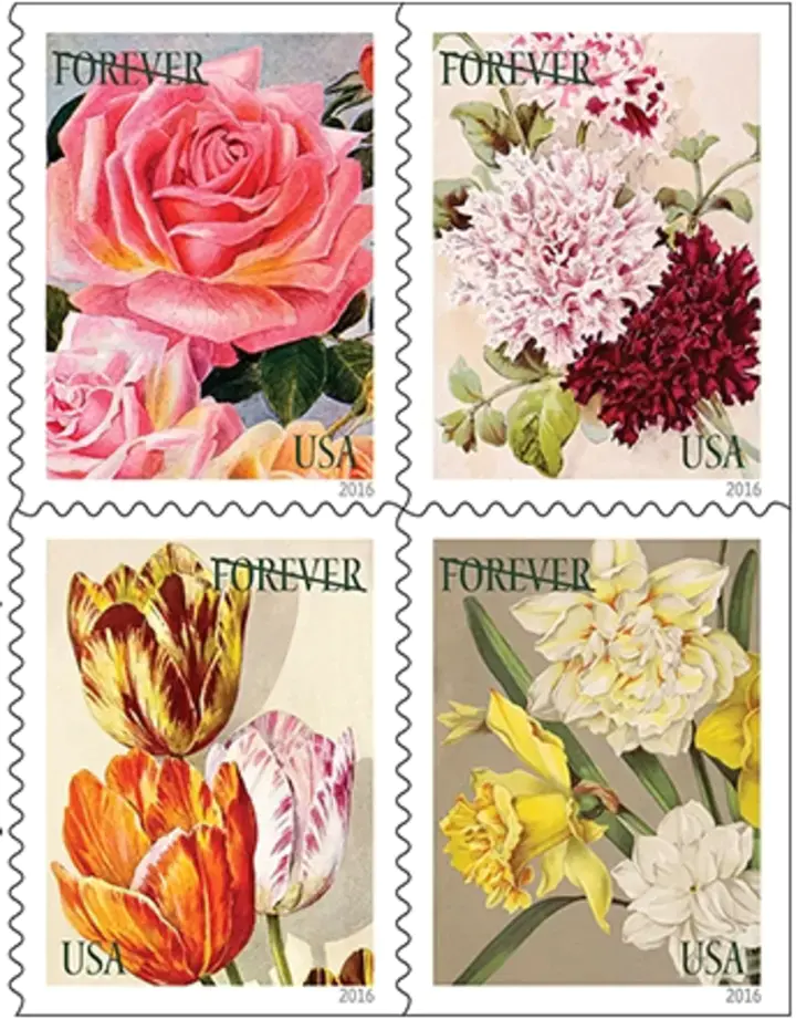 🎁[US FREE SHIPPING]100PCS-Botanical Art 2016