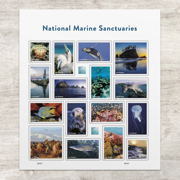 🎁[US FREE SHIPPING]100PCS-National Marine Sanctuaries