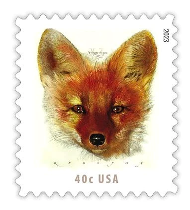 🎁[US FREE SHIPPING]Red Fox 2023-100PCS