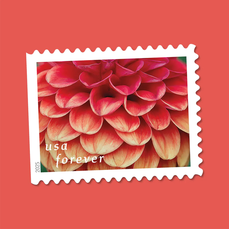 2025 Dahlias Stamps Book of 20