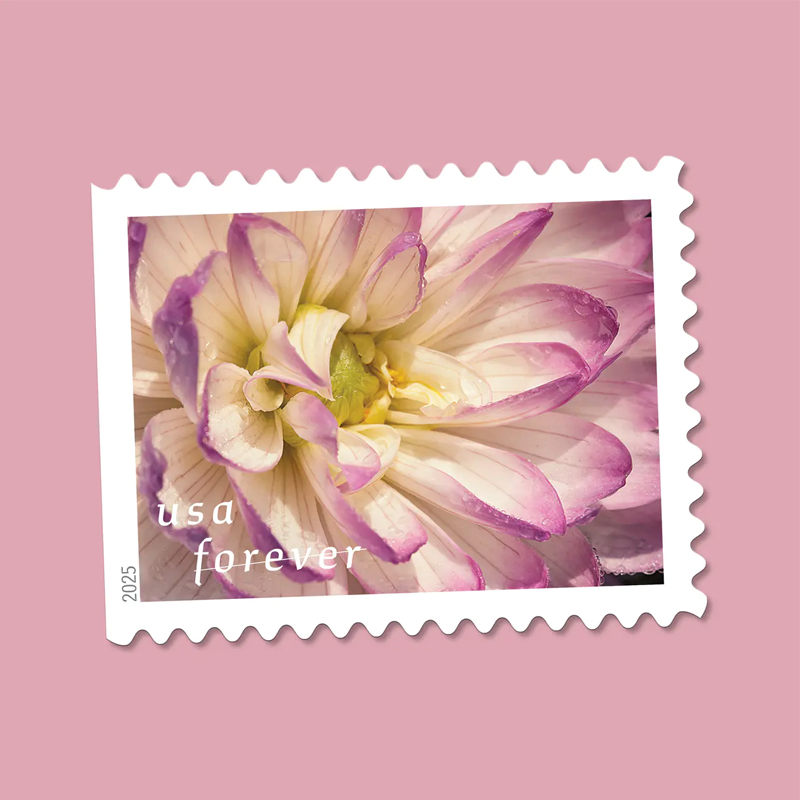 2025 Dahlias Stamps Book of 20