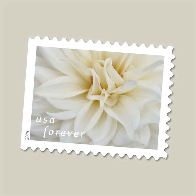 2025 Dahlias Stamps Book of 20