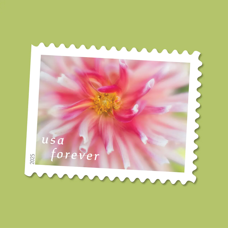 2025 Dahlias Stamps Book of 20