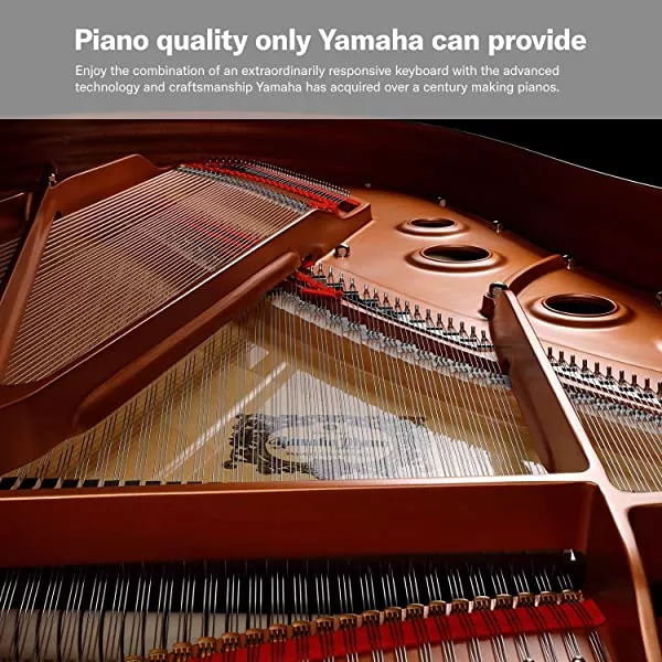 Yamaha P-125 Portable Digital Piano - Slim, Dynamic and Powerful, for Hobbyists and Beginners