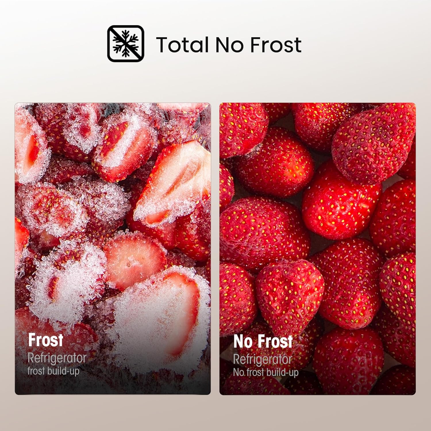 Hisense RB327N4WCE 55cm Freestanding 50/50 Fridge Freezer - 256 litre capacity - Total No Frost - Non-plumbed Water Dispenser - Silver - E Rated, H182.4 x W55 x D55.6 (cm) [Energy Class E]