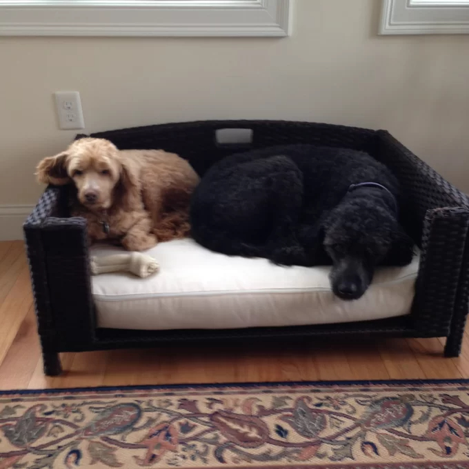 【Pet】Cristobal Rattan Rectangular Dog Sofa