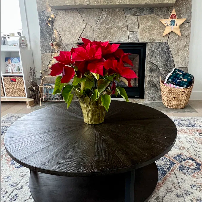 【Furniture】Frame Coffee Table with Storage