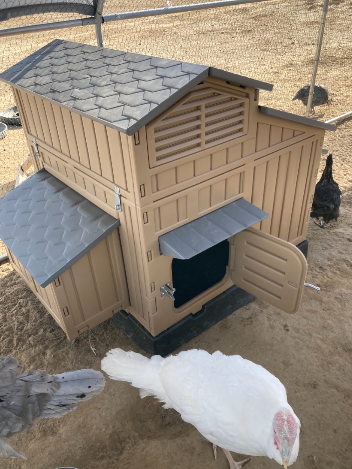 【Home&Garden】Large Chicken Coop Backyard Hen House 4-6 Large 6-12 Bantams