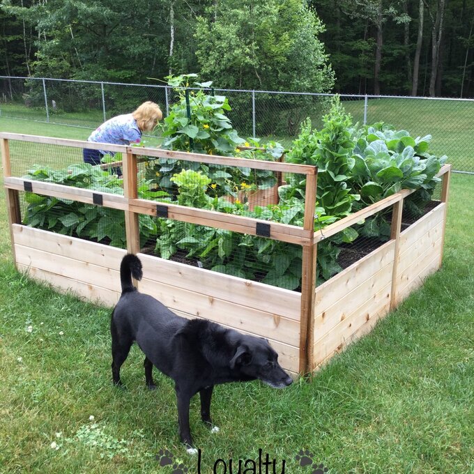 【Home&Garden】8x8 ft Cedar Garden in a Box