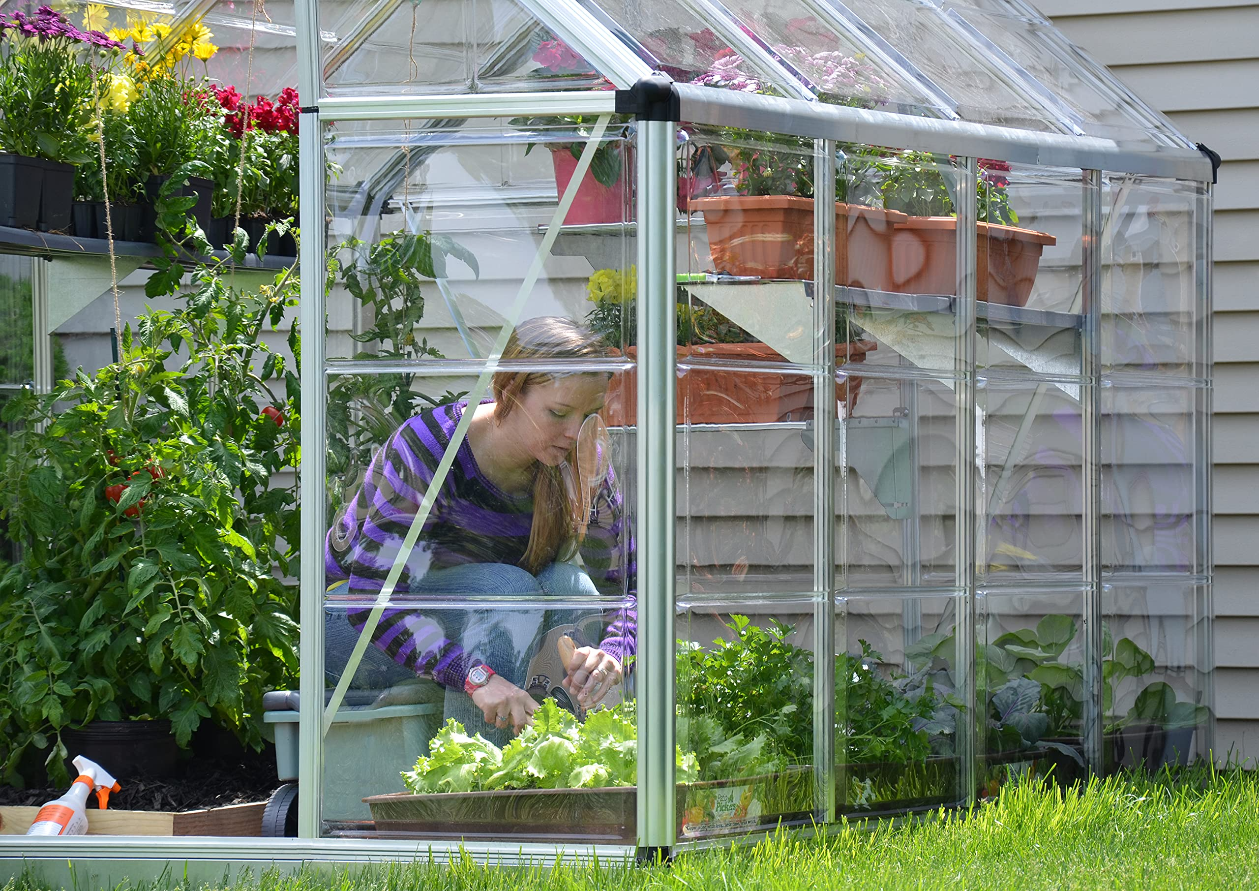 【Home&Garden】Vitavia 8x6 Venus 5000 Greenhouse - Horticultural Glass