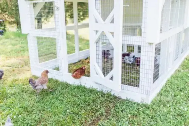 【Home&Garden】Big fairy tale town chicken coop