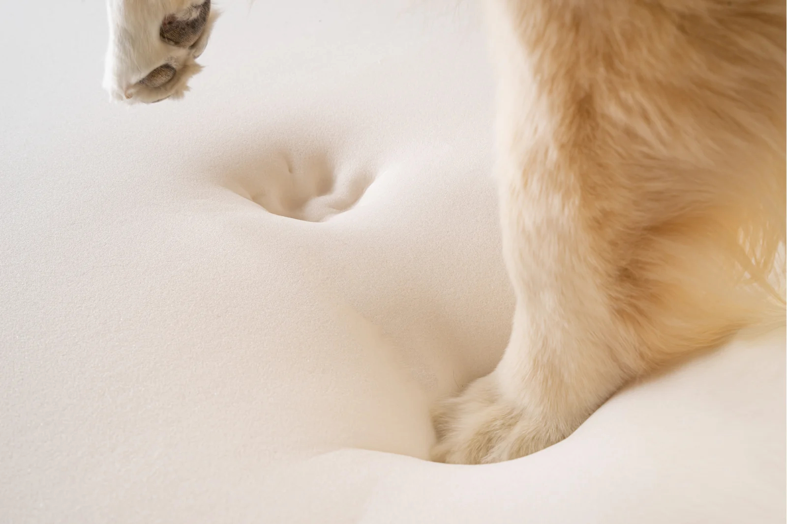 【Pet】Pretor Puprug Runner Faux Fur Memory Foam Dog Curve Mat