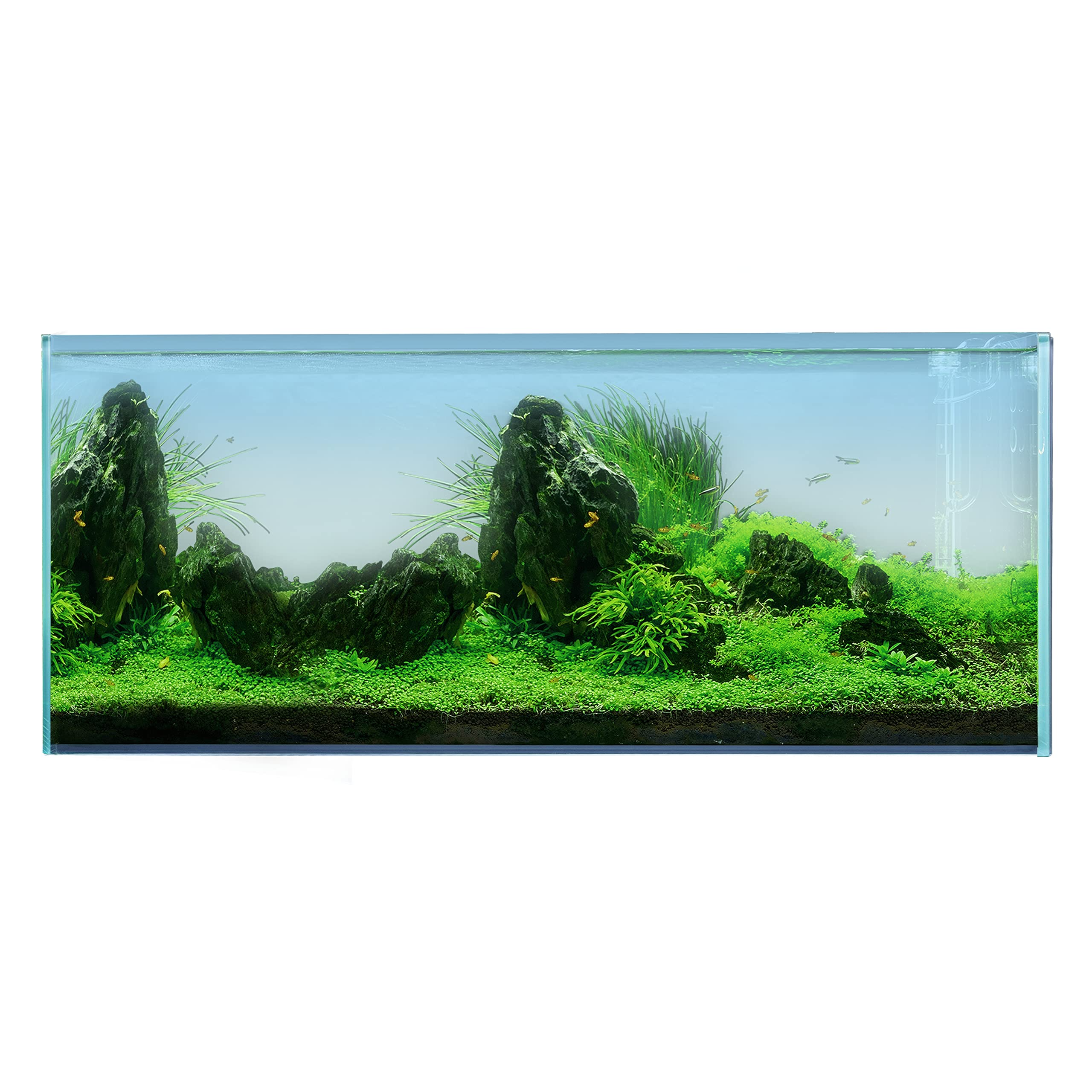 【Pet】120P 72.2 Gallon Rimless Low Iron Aquarium Tank, 47.2