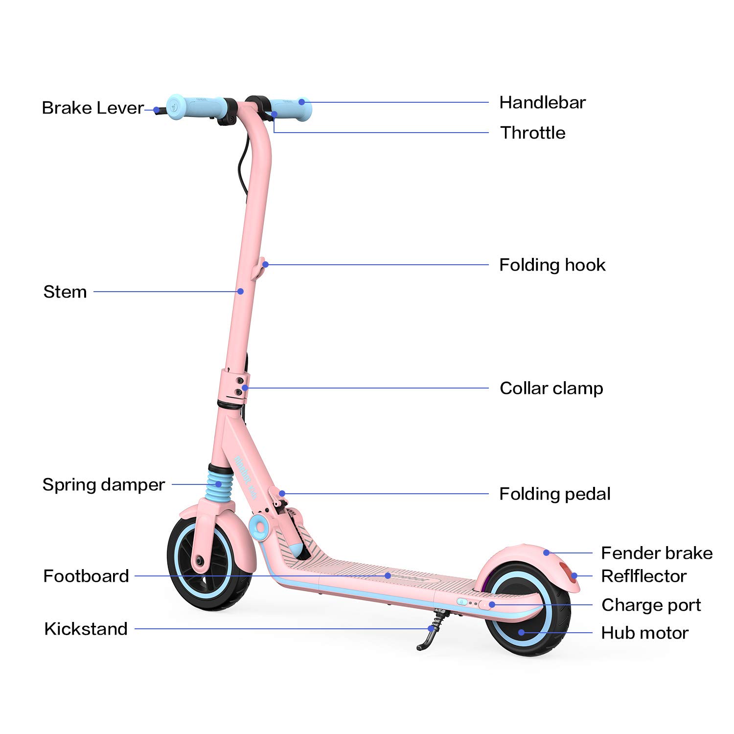 【Sports&Outdoors】Segway Ninebot Electric Kick Scooter for Kids, 6.2 Miles Range & 8.7 MPH(10, 11.2MPH)