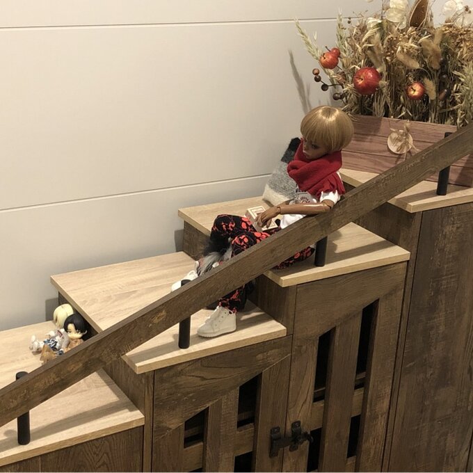 【Furniture】12 Pair Shoe Storage Cabinet