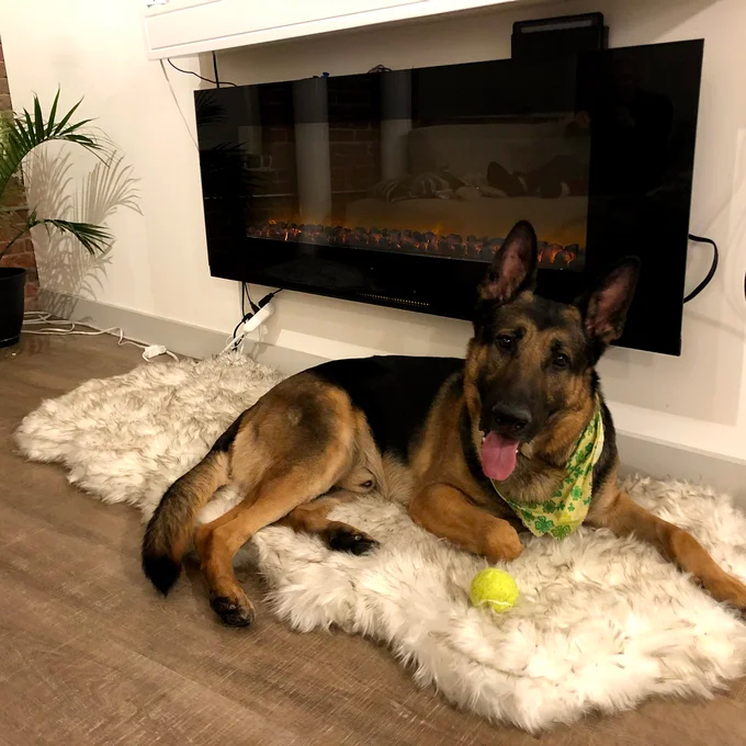 【Pet】Pretor Puprug Runner Faux Fur Memory Foam Dog Curve Mat