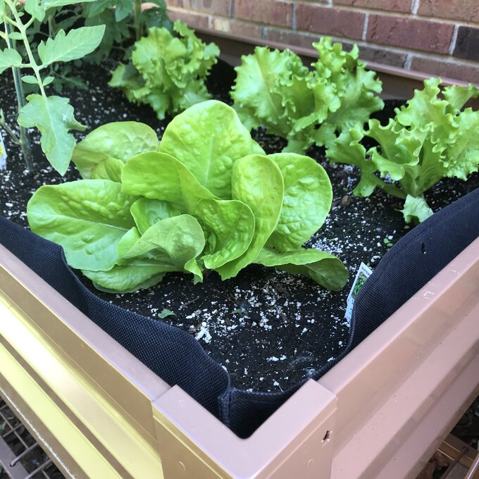 【Home&Garden】Makenna Steel Elevated Planter