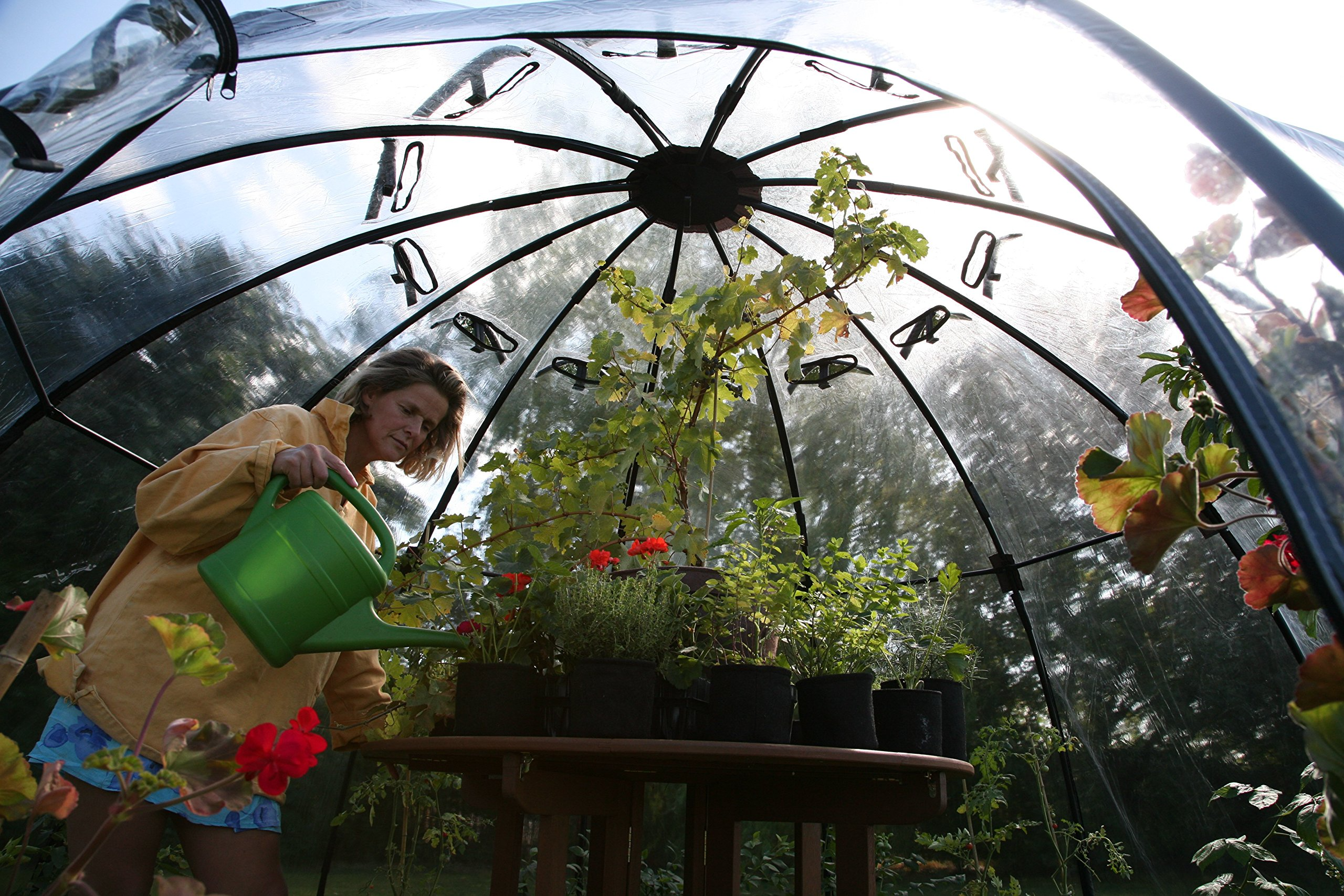 【Home&Garden】Haxnicks Garden Sunbubble Portable Outdoor Greenhouse, Garden Bed Cover & Igloo, Large