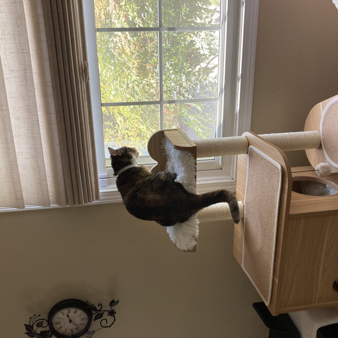 【Pet】47 Wooden Luxury Cat Tree