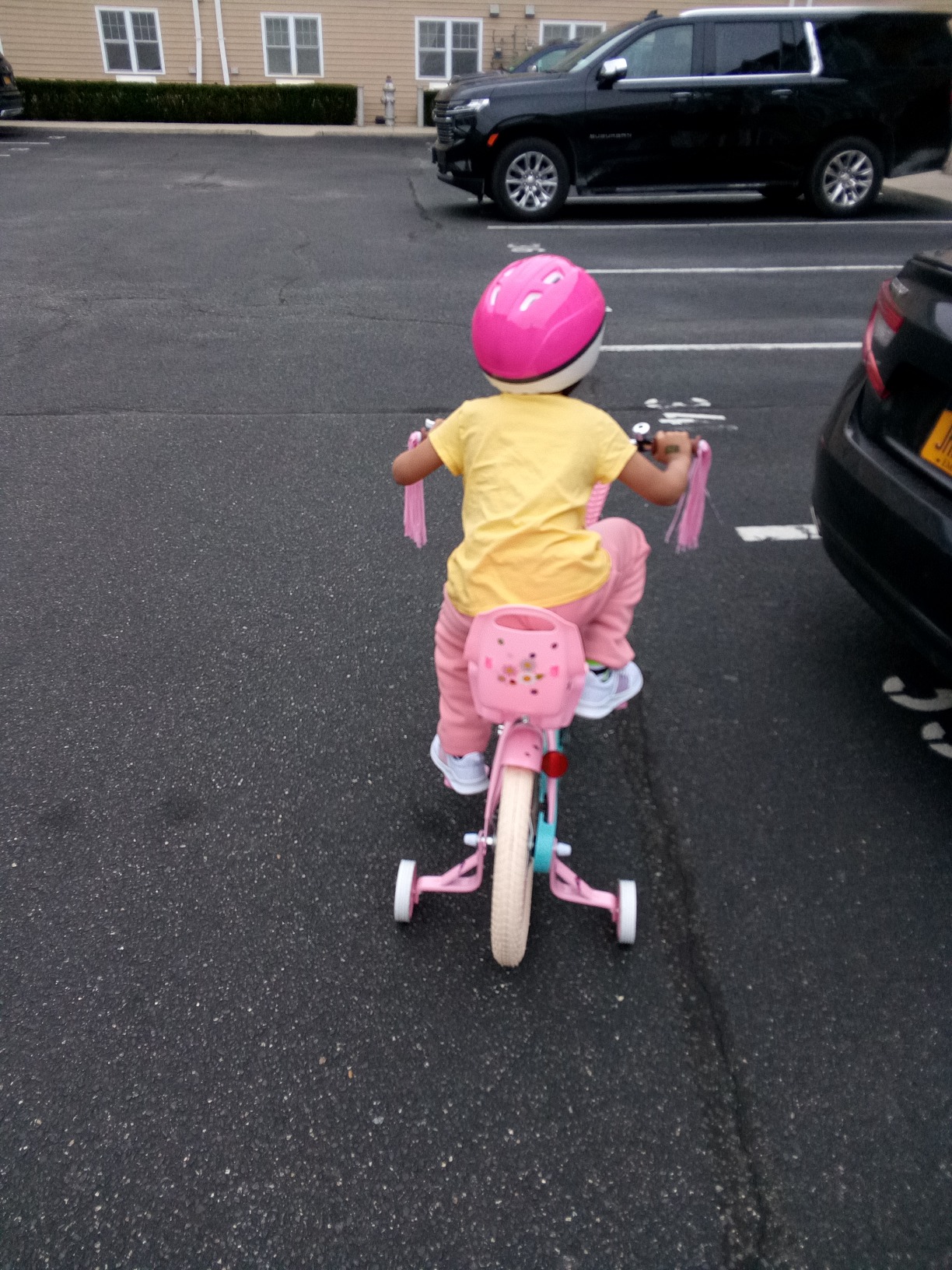 【Sports&Outdoors】Little Daisy Kids Bike for 2-9 Years Girls with Training Wheels & Front Handbrake